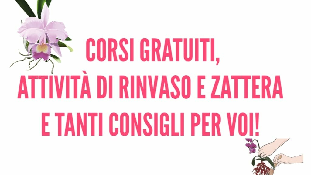 Corsi e attività degli Orchidofili Umbri presso Spazio Verde Garden Village - Programma