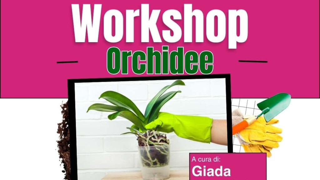 Workshop Orchidee - workshop-orchidee