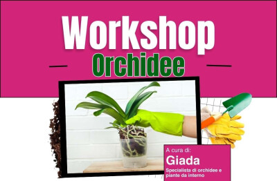 Workshop Orchidee